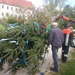 Maibaumrichten 2016